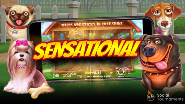 The Dog House Dice Show slot apk download for android