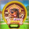 The Dog House Dice Show slot apk download for android