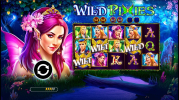 Wild Pixies slot apk download for android v1.0.0 screenshot 1