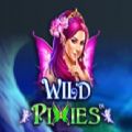 Wild Pixies slot apk download for android