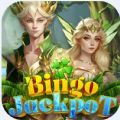 Bingo Jackpot Lucky spin apk download latest version