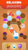 Hexa Puzzle 3D Color Sorting apk download for android v1.0.12 screenshot 2