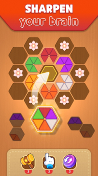 Hexa Puzzle 3D Color Sorting apk download for android v1.0.12 screenshot 3