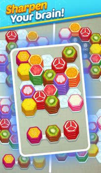 Fruit Hexa Color Sort 3D Game apk download for android v1.0 screenshot 3