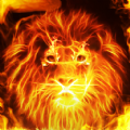 Fire Lion Wallpaper + Keyboard apk free download latest version