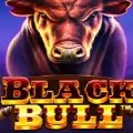 Black Bull slot game apk download for android  