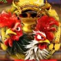 Cock Fight Slot free play app for Android