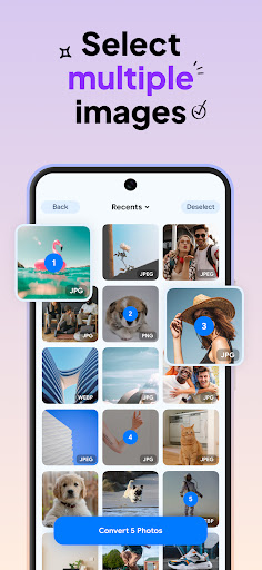 Image Converter HEIC to JPG free mod apk downloadͼƬ1