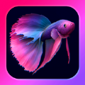 Bettarium game mod apk download 