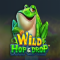 Wild Hop&Drop Slot Apk Download 2024