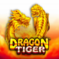 The Dragon Tiger slot apk download latest version