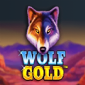 Wolf Gold Slot Apk Free Download for Android