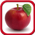 Fruits and Vegetables for Kids mod apk latest version