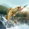 Professional Fishing 2 unlimited money mod apk