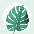 PlantMe Plant identification apk free download latest version