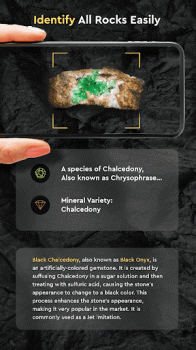 Rock Identifier by Photo app free download latest version v1.6.2 screenshot 3