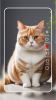 Cat Wallpaper Cute Aesthetic apk free download for android v1.0 screenshot 4