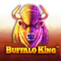 Buffalo King slot real money apk download latest version