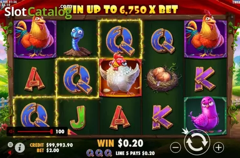 The Tweety House slot apk download for android