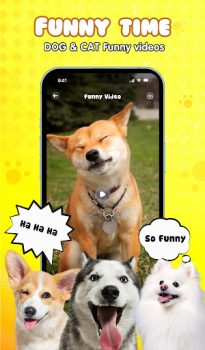 Pet Translator Cat and Dog app download for android v1.0.1 screenshot 2