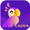 LaYam Group Voice Chat app download for android