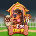 The Dog House Slot Apk Free Download