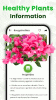 Plant Scanner & Identification apk latest version download v1.2 screenshot 4