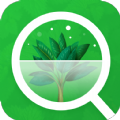 Plant Scanner & Identification apk latest version download