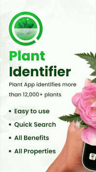 Plant Scanner & Identification apk latest version download v1.2 screenshot 2