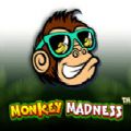 Monkey Madness slot game download latest version