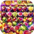 Magic Fruits apk download for android