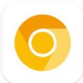 chrome canary apk old version