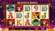 Beautiful Bones slot apk download latest version v1.0.0 screenshot 2