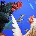 Rooster Fights apk download latest version