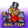 Big Top slot machine apk download for android