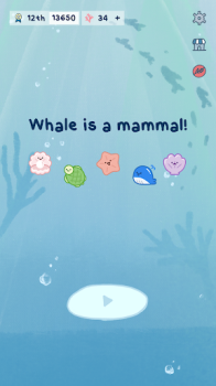 Whale is a Mammal Suika Game download for android v1.1.0 screenshot 5