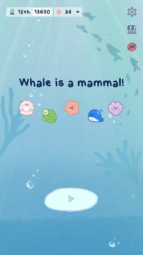 Whale is a Mammal Suika Game download for android