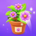 Triple Blossom apk download latest version