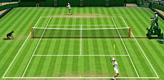 Tennis Match Gold Player apk download for android