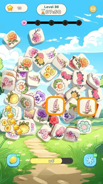 Blossom Pair Paradise apk download for android