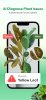 Plant Identifier & Plant Care app free download for android v2.1 screenshot 3