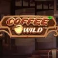 Coffee Wild slot apk download for android