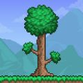 Terraria v1.1.2 First Final Update free full game