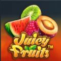 Juicy Fruits slot game free download latest version