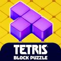 Tetris Block Puzzle mod apk latest version