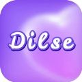 Dilse Live Chat & Connect app download for android