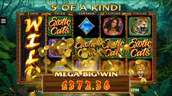 Exotic Cats slot apk download latest version