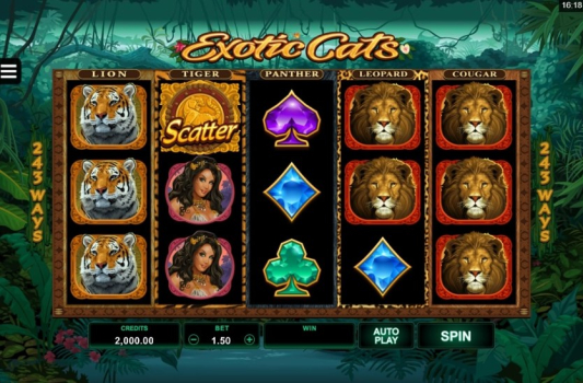 Exotic Cats slot apk download latest version v1.0.0 screenshot 2