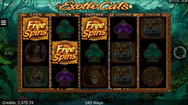 Exotic Cats slot apk download latest version v1.0.0 screenshot 1