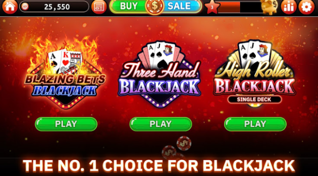 Lucky Twins Slot Apk Download Latest Version 2024 v1.0 screenshot 3